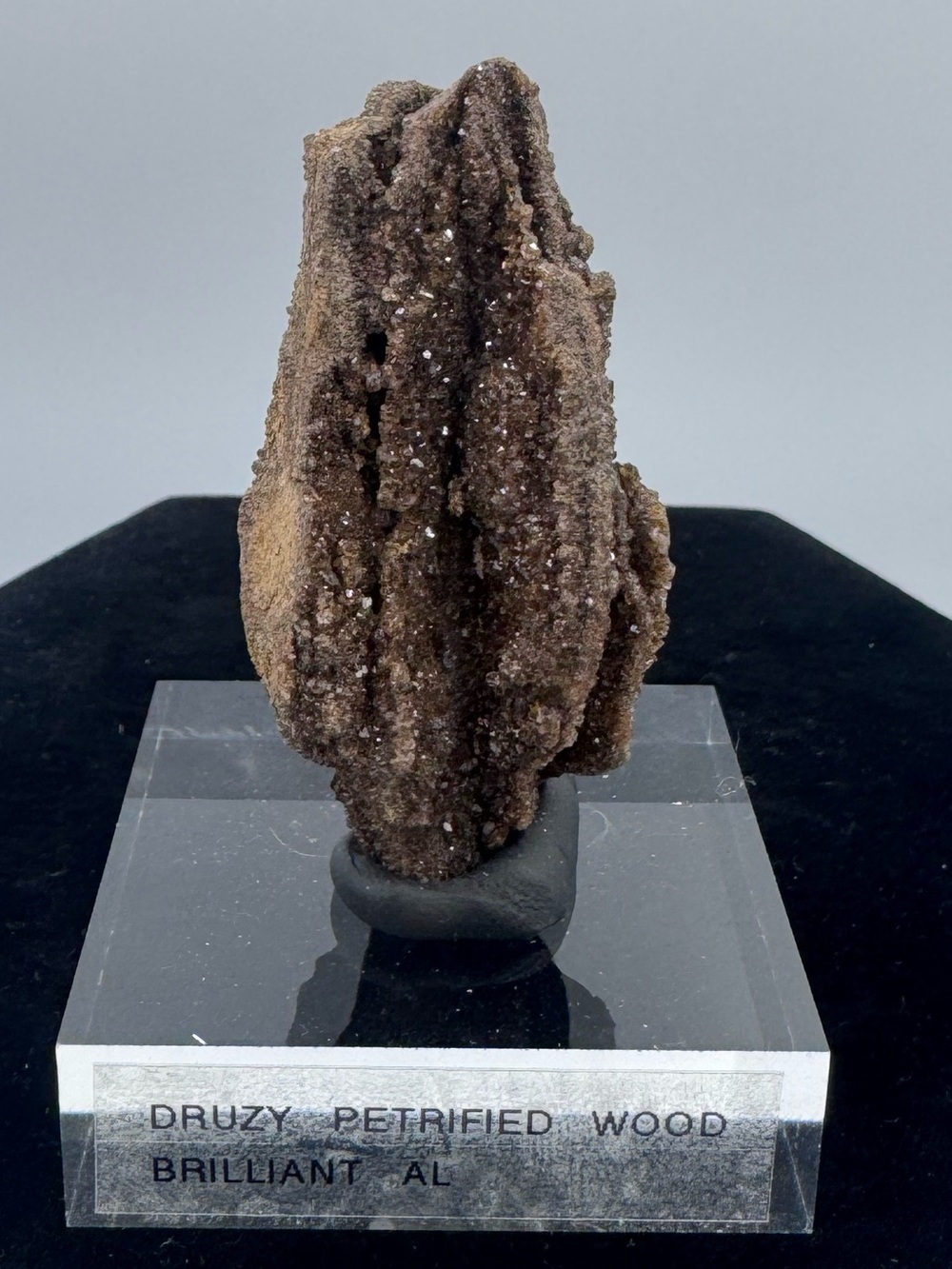 Druzy Petrified Wood Display Piece - Brilliant Alabama - Picture 6 of 6